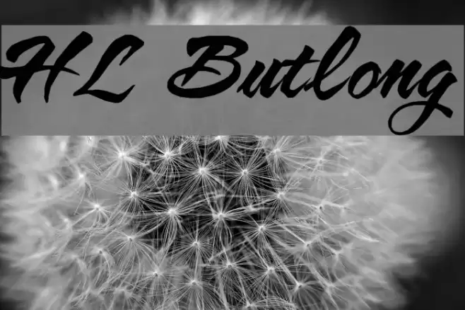 HL Butlong Font examples