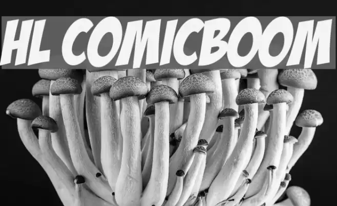 HL ComicBoom  examples