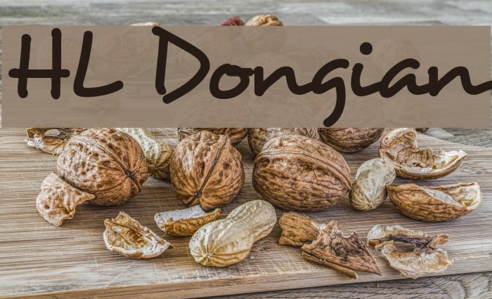 HL Dongian Font examples