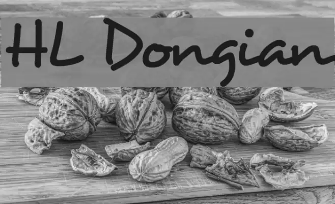 HL Dongian Font examples