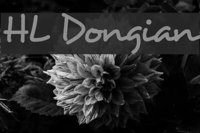 HL Dongian Font examples