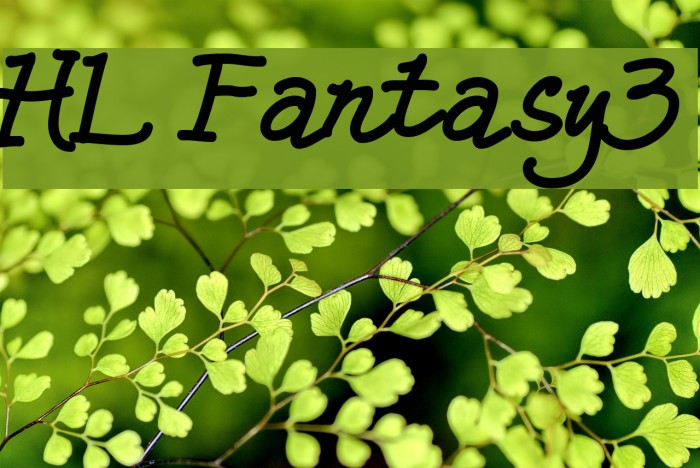 HL Fantasy3 Font examples