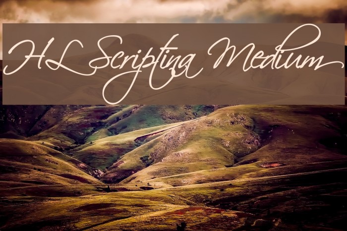 HL Scriptina Medium Font examples