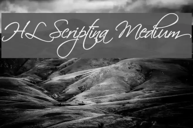 HL Scriptina Medium Font examples
