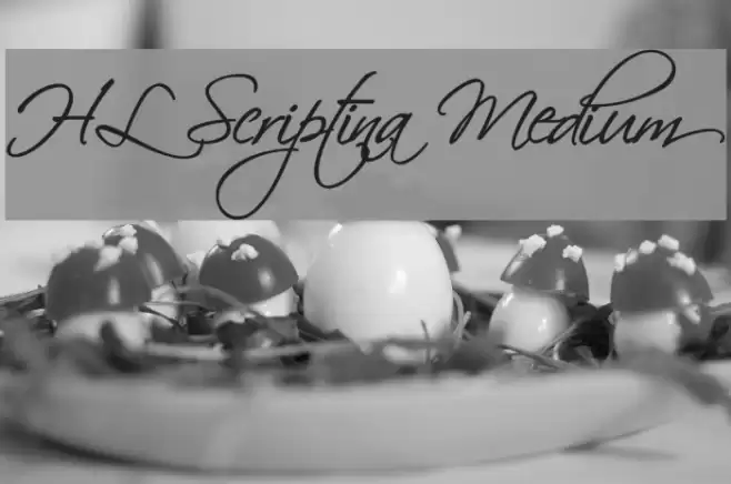 HL Scriptina Medium Font examples