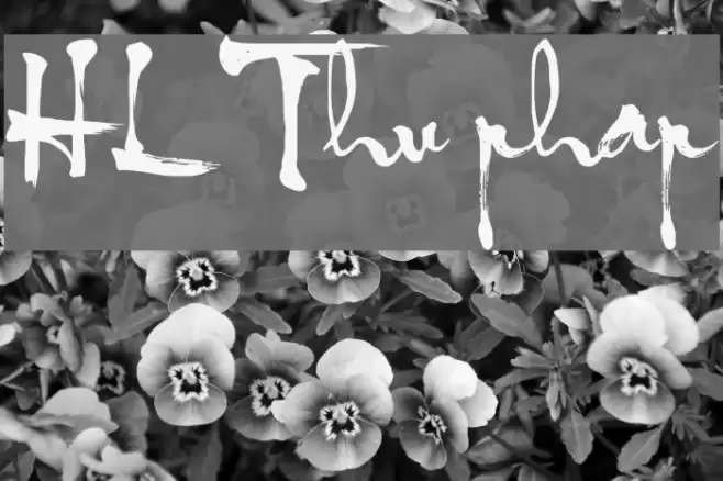 HL Thu phap Font examples