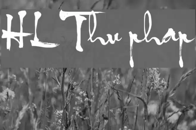 HL Thu phap Font examples