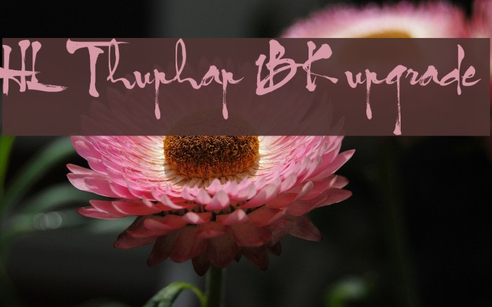 HL Thuphap 1BK upgrade Font examples