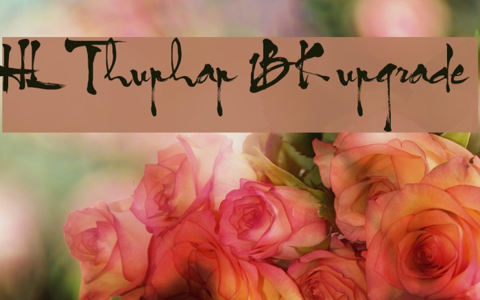 HL Thuphap 1BK upgrade Font examples