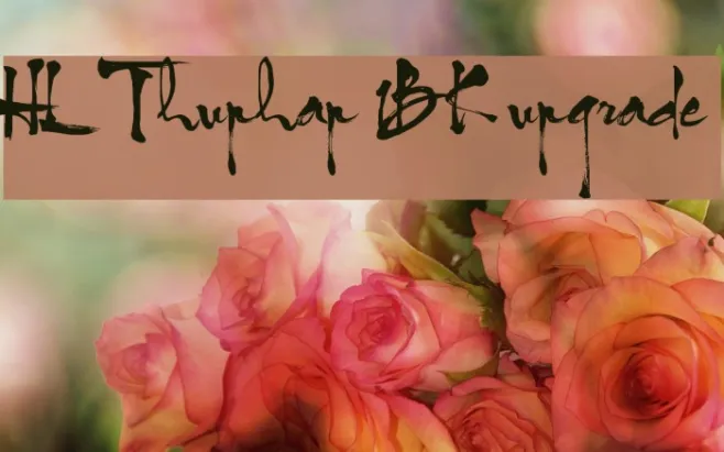 HL Thuphap 1BK upgrade Example 3