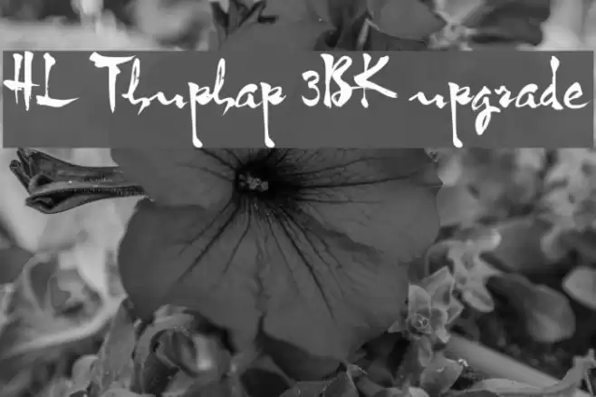 HL Thuphap 3BK upgrade Font examples