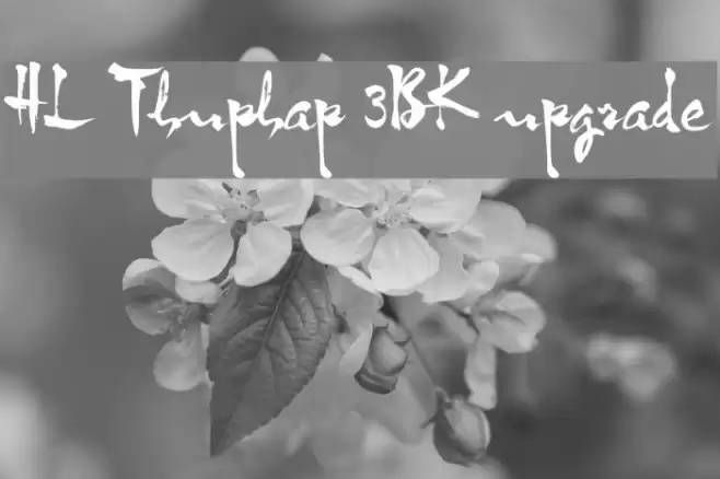 HL Thuphap 3BK upgrade Font examples