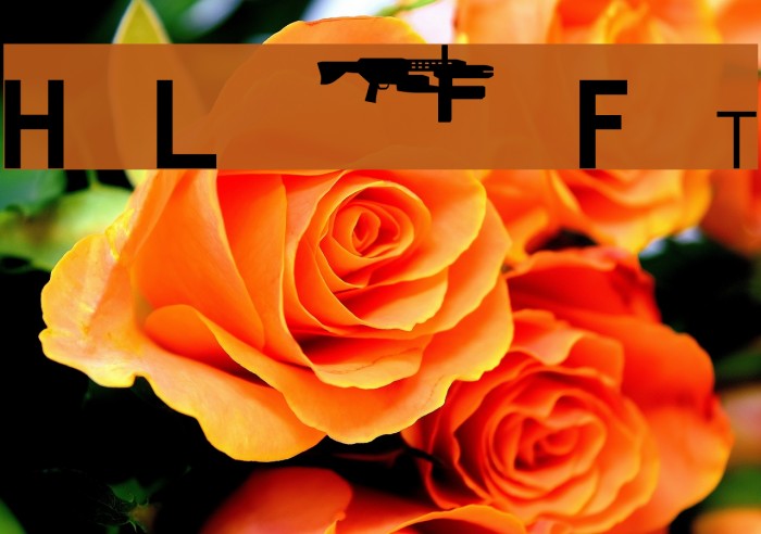 HL2MP Font examples
