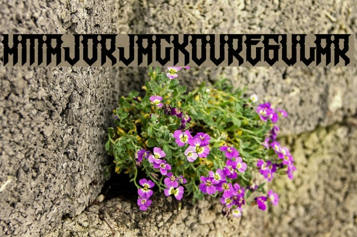 HMajorJackov-Regular Font examples
