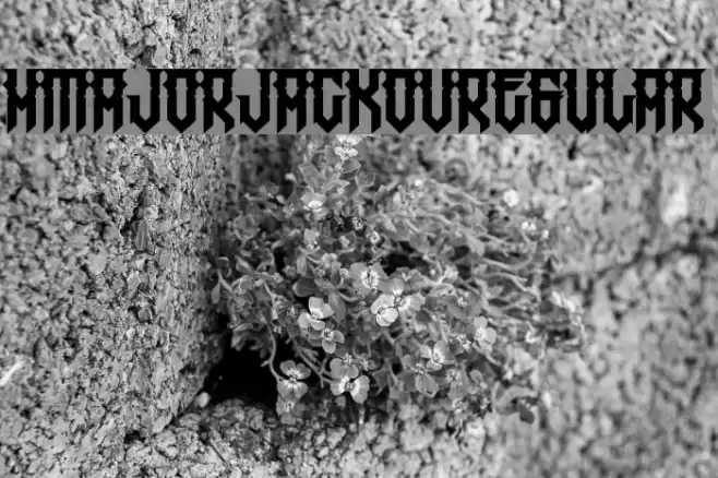 HMajorJackov-Regular Font examples