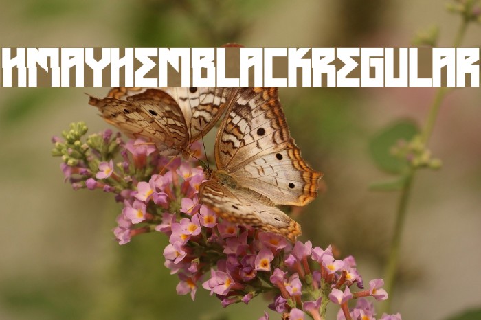 HMayhemBlack-Regular Font examples