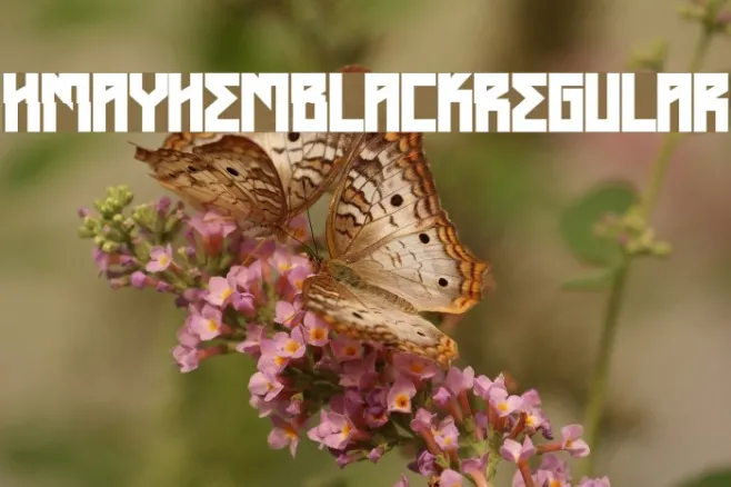 HMayhemBlack-Regular Example 1