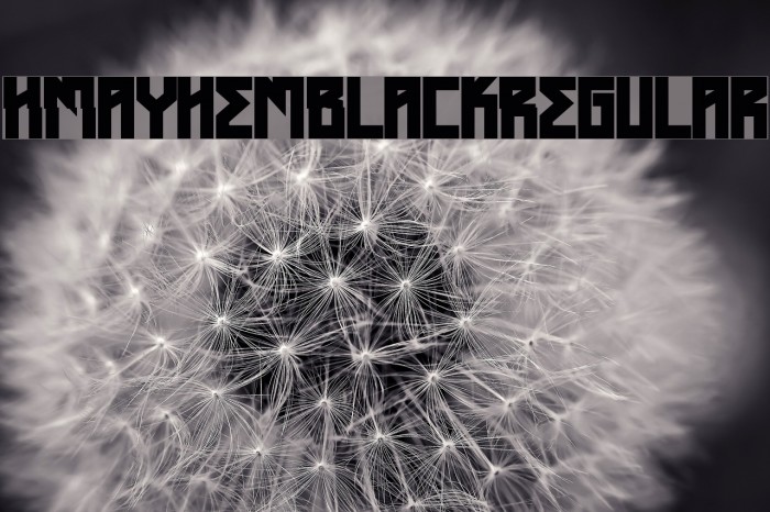 HMayhemBlack-Regular Font examples