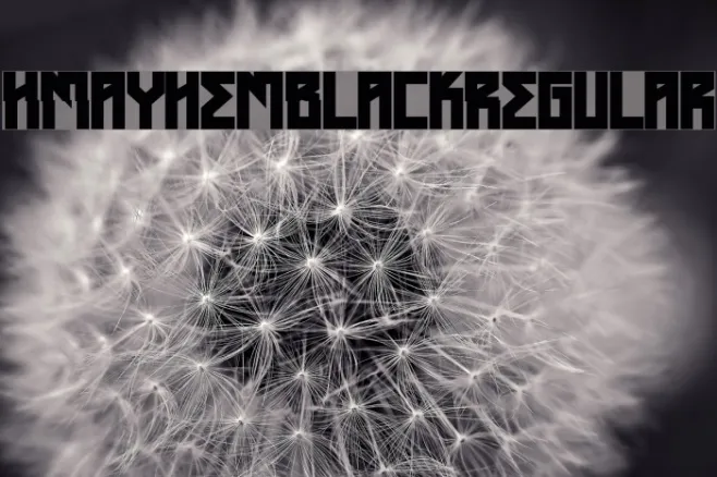 HMayhemBlack-Regular Example 2