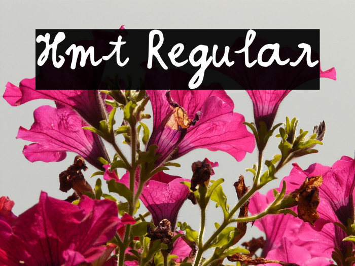Hmt Regular Font examples