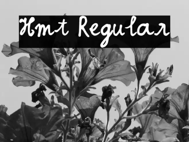 Hmt Regular Font examples