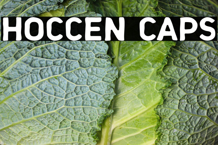 HOCCEN CAPS Example 3