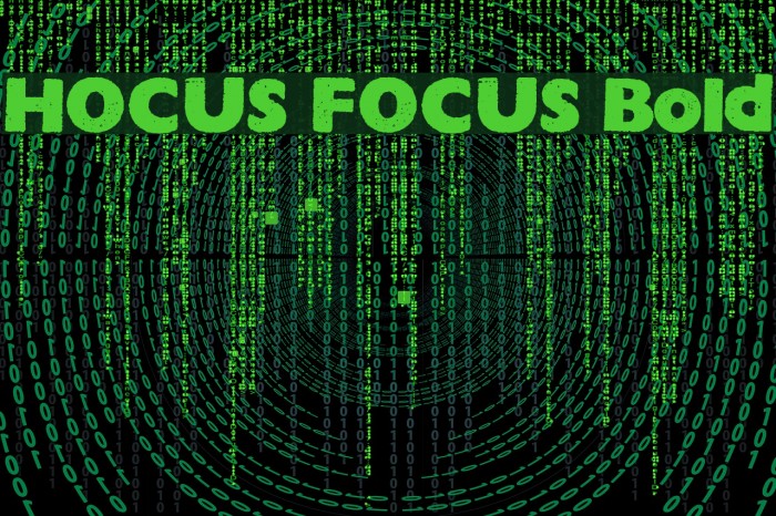 HOCUS FOCUS Bold Font examples