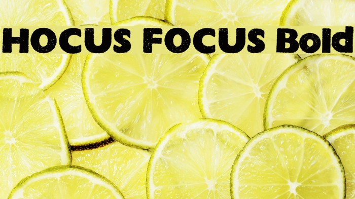 HOCUS FOCUS Bold Font examples