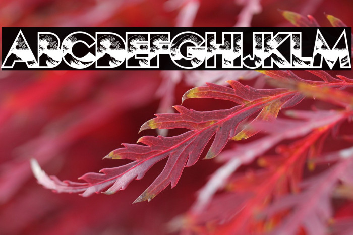 HOKUSAI PERSONAL USE Regular Example 2