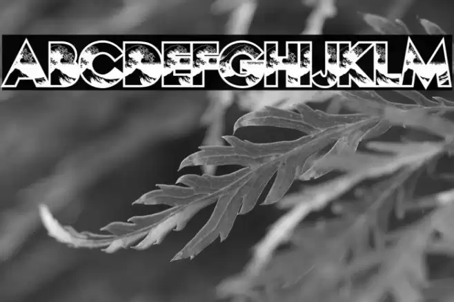 HOKUSAI PERSONAL USE Regular Font examples