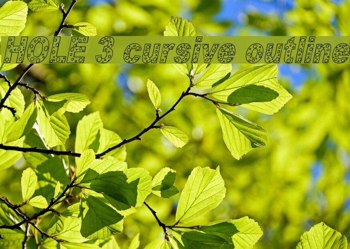 HOLE 3 cursive outline Font examples
