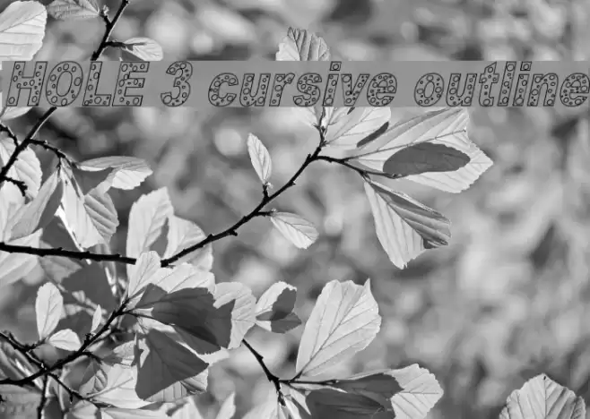 HOLE 3 cursive outline Font examples