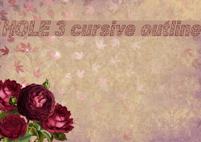 HOLE 3 cursive outline Font examples