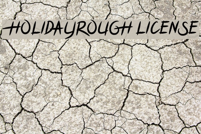HOLIDAYROUGH LICENSE Font examples