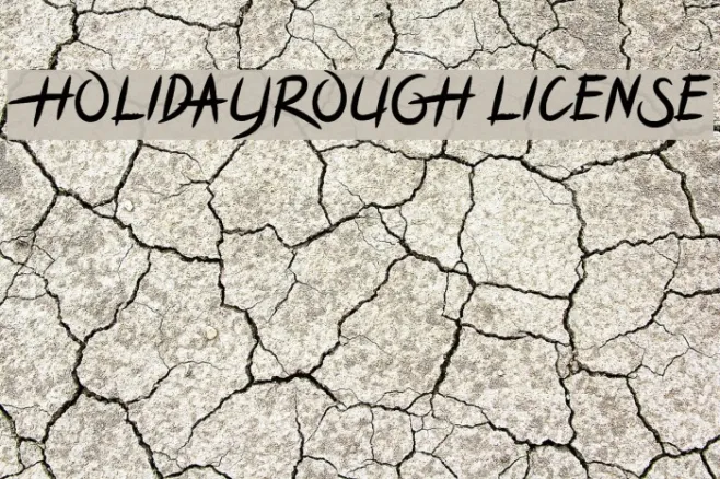 HOLIDAYROUGH LICENSE Example 2