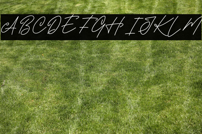 HOLLY SIGNATURE DEMO Example 1