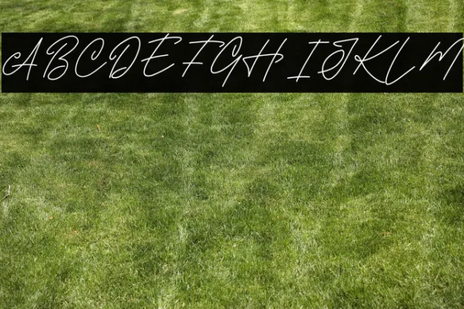 HOLLY SIGNATURE DEMO Example 1