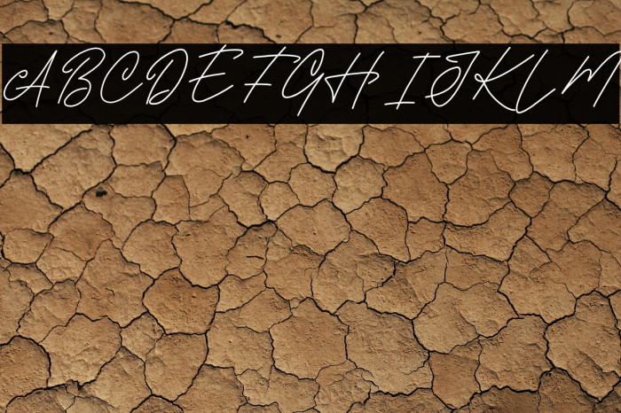 HOLLY SIGNATURE DEMO Example 2