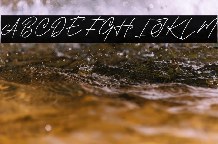 HOLLY SIGNATURE DEMO Example 3