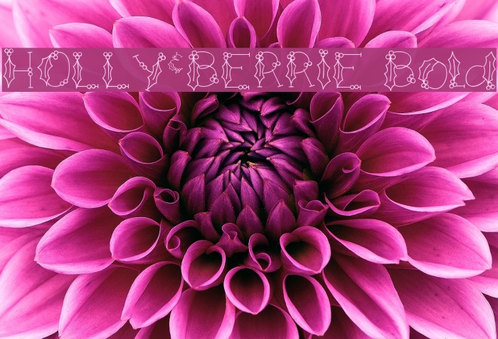 HOLLY&BERRIE Bold Font examples