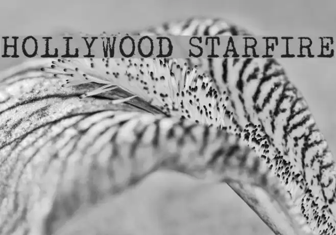 HOLLYWOOD STARFIRE Font examples
