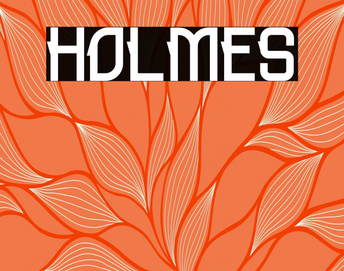 HOLMES Example 3