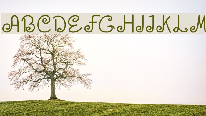 HOLY MOLLYN Font examples