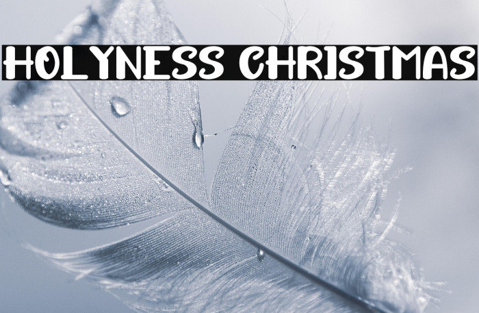 HOLYNESS CHRISTMAS Example 2