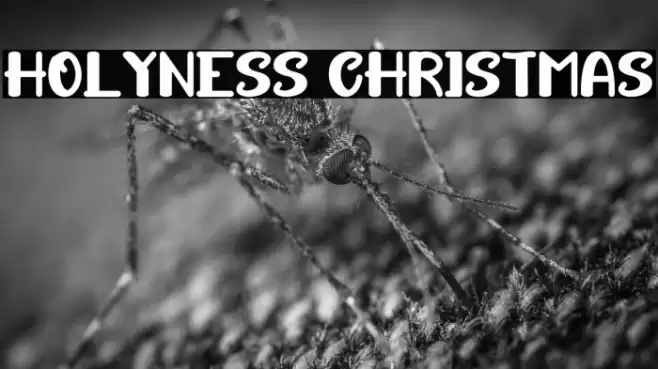 HOLYNESS CHRISTMAS Fonte examples
