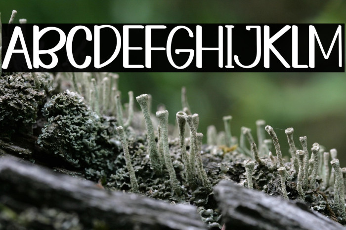 HOMESUNDAYRegular Example 2