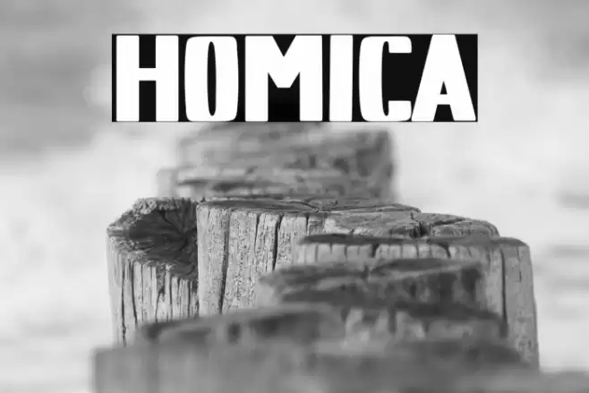 HOMICA Font examples