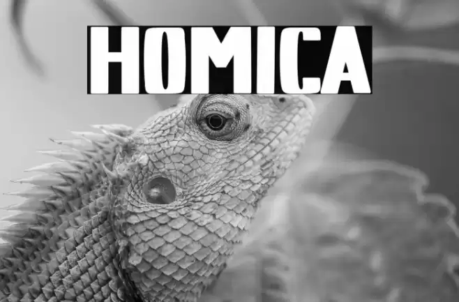 HOMICA Font examples