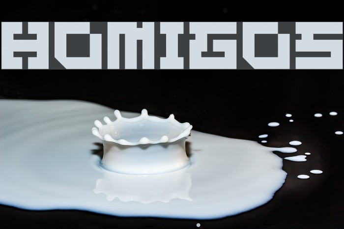 HOMIGOS Font examples