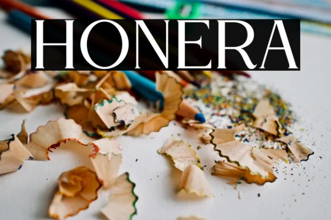 HONERA Example 1